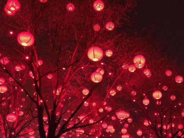 陜西鑫安安防祝您和家人：元宵節(jié)快樂，月圓人圓家更圓