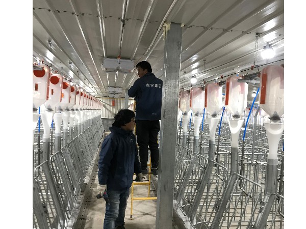 養(yǎng)豬場(chǎng)視頻監(jiān)控系統(tǒng)安裝，從布線到安裝需要的就是嚴(yán)謹(jǐn)